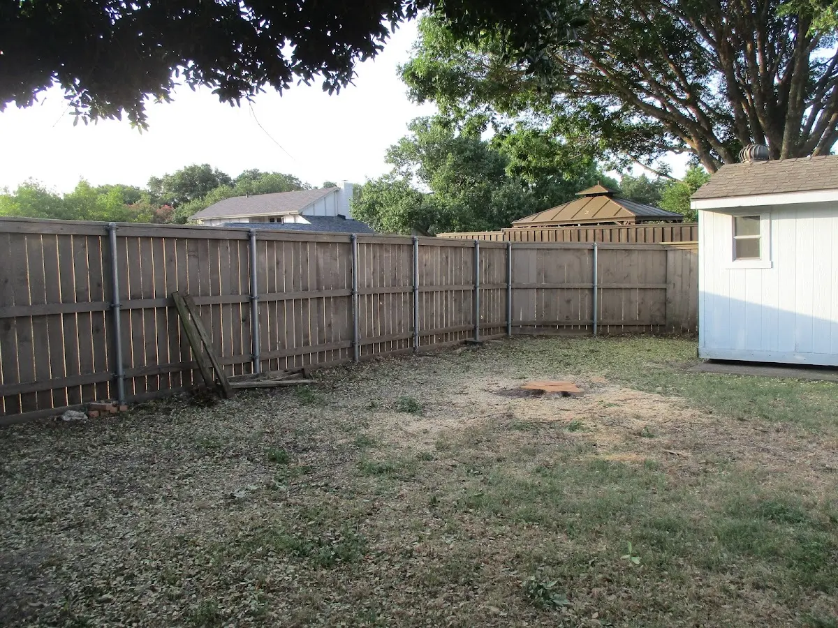 Cleared yard after professional tree removal in Tipp City